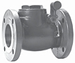 External E-Valve 2, 3 4 in. Flanged - DI/TF