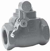 Morrison Bros Threaded Swing Check Valves